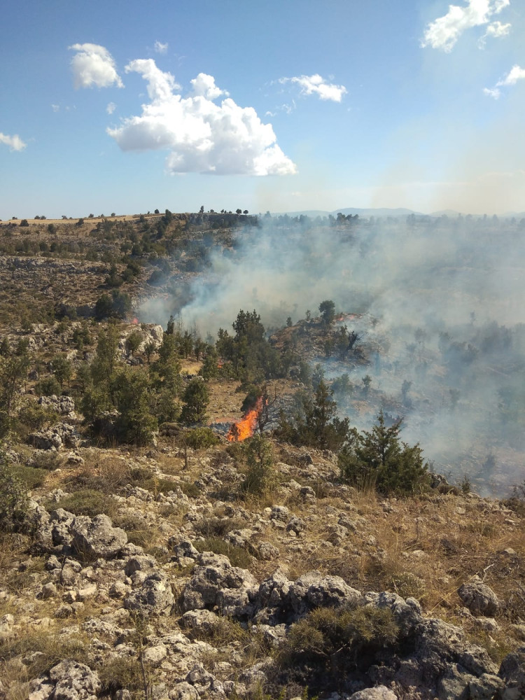 Köseçobanlı Mahallesinde Çıkan Orman Yangını Kontrol altına Alındı